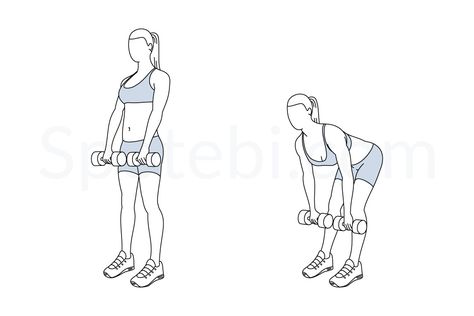 Romanian deadlift exercise guide with instructions, demonstration, calories burned and muscles worked. Learn proper form, discover all health benefits and choose a workout. Dumbbell Back Exercises, Romanian Deadlift, Exercise Benches, Hip Flexor Exercises, Wallpaper Travel, Back Fat Workout, Hammer Curls, Calories Burned, Biceps And Triceps