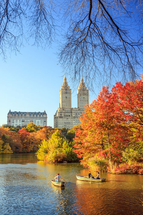 Photos Of New York City, Fall In New York, Water Images, Surreal Photos, One World Trade Center, Autumn Foliage, Manhattan Skyline, New York City Travel, Boat Ride