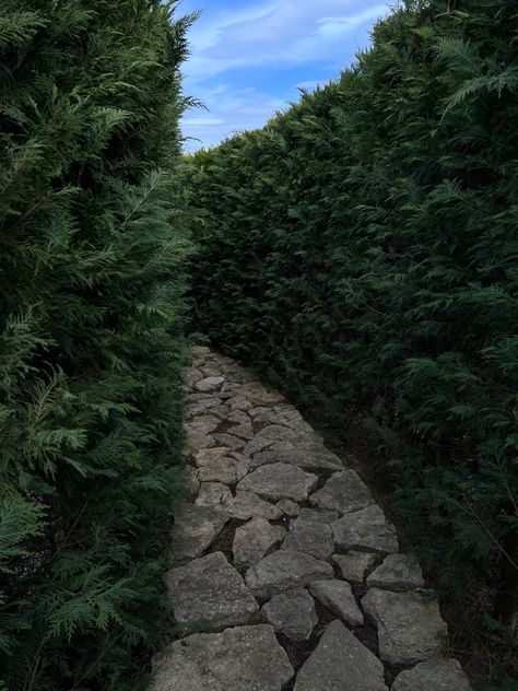 #maze #greenery #aesthetic Maze Aesthetic, Greenery Aesthetic, Inheritance Games, Reading Motivation, Public Spaces, Public Space, Hedges, Dark Academia, Fern