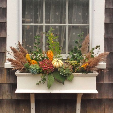 Porch Rail Planter Boxes Fall, Mums In Window Boxes, Fall Window Boxes Fake Flowers, Fall Window Boxes With Pumpkins, Fall Flower Boxes Window, Ivy Landscaping, Autumn Window Boxes, Fall Window Boxes Ideas, Fall Flower Boxes