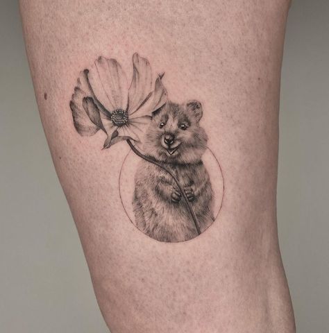 Pika Tattoo, Cute Quokka Drawing, Quokka Tattoo, Quokka Doodle, Quokka Crochet Pattern Free, Surrealism Animals, Rottnest Island Quokka, Quokka Baby, Semi Realism