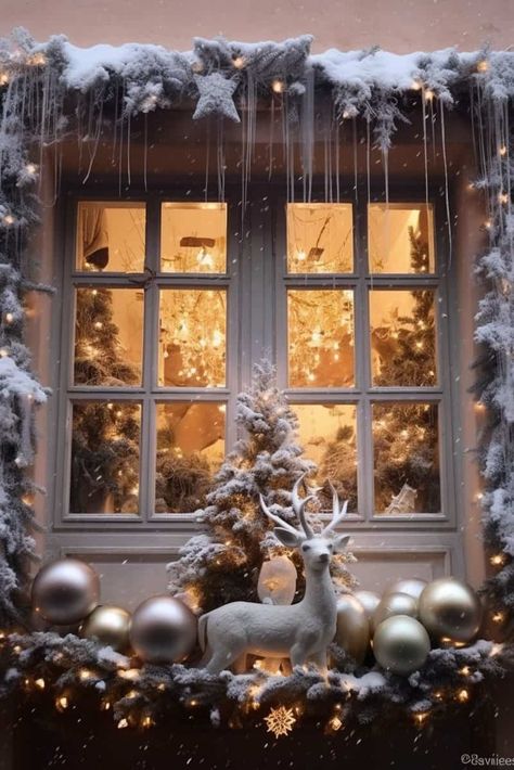 20 Eye-Catching Window Box Ideas for Winter Window Box Ideas, Christmas Deer Decorations, Winter Window Boxes, Christmas Window Boxes, Outside Christmas Decorations, Window Box Flowers, Christmas Planters, Christmas Window Decorations, Green Highlights