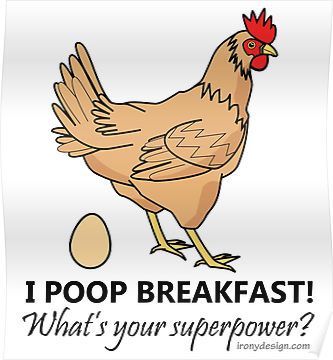 Chicken Poops Breakfast Funny Design Funny Chicken Coop Signs Hilarious, Chicken Sayings Signs Funny, Chicken Quotes, Easter Egger Chicken, Funny Chicken Memes Hilarious, Funny Chicken Memes Humor, Chicken Drawing, Chicken Coop Decor, Rooster Memes Funny