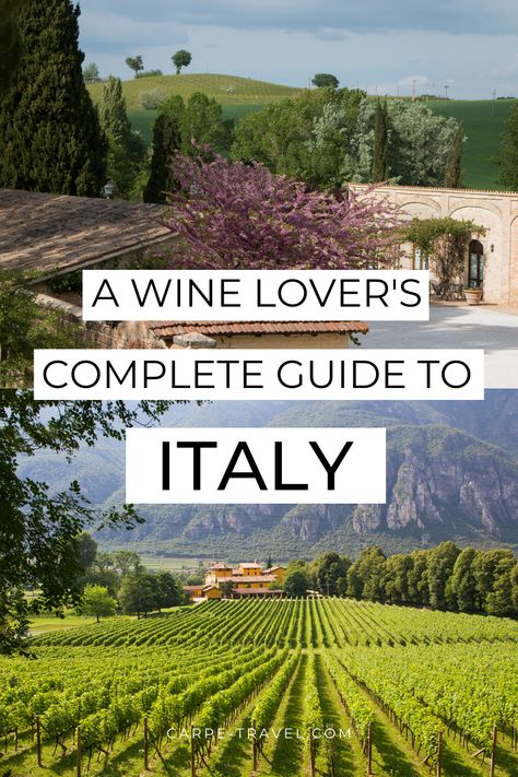 Take the guesswork out of buying little-known Italian wines by learning everything there is to know about the top wines from Italy. The Complete Guide to Italy's Best Wines takes you on a wine tasting tour through the various regions of Italy. Italian Wine Tasting, Italy Wine Country, Italy Wine Tasting, Wine In Italy, Best Italian Wines, Tour Italy, Wine Tips, Wine 101, Italy 2023