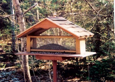 Big Bird Feeder, Large Bird Feeder, Large Bird Feeders, Diy Bird Feeder, Mother Earth News, How To Attract Birds, Building A Shed, Backyard Birds, Bird Feeder