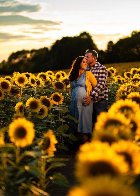 Sunflower Maternity Shoot, Sunflower Maternity Pictures, Pumpkin Maternity Photos, Fall Maternity Shoot, Fall Maternity Pictures, Summer Maternity Photos, Windsor London, Sunflowers Field, Sunflower Photoshoot