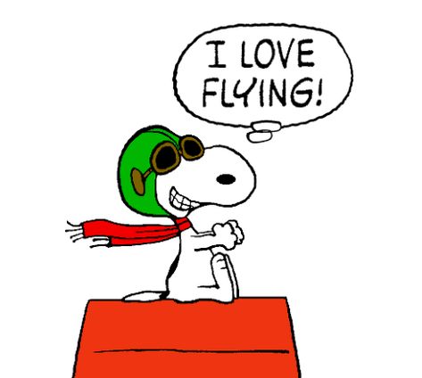 Snoopy - The World War I Flying Ace Airborne and Loving It Pilot Snoopy, Peanuts Cartoon Quotes, Snoopy Pilot, Red Baron Snoopy, Charly Brown, Snoopy Gif, Continental Airlines, Funny Pilot, Poddle