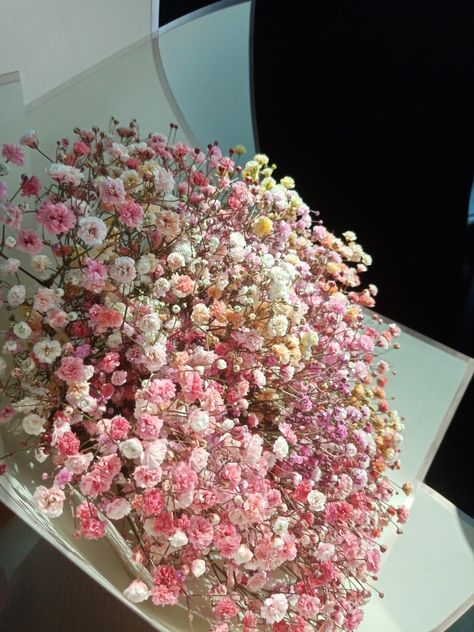 Gypsophila Arrangement, Flower Aesthetics, Wallpaper Aesthetic, My Flower, Pretty Flowers, Peonies, Flower Arrangements, Floral Wreath, Prom