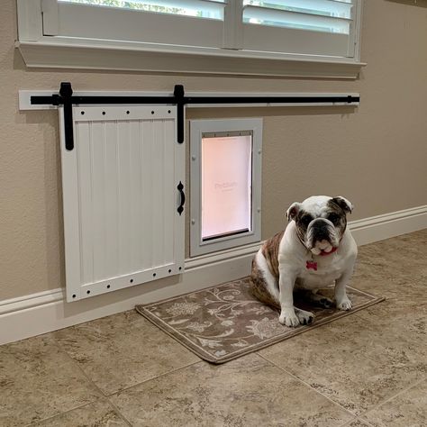 Slide Out Dog Kid Doors, Front Door With Doggie Door, Mini Sliding Door, Dogie Door Ideas, Sliding Dog Door, Dog Door Ideas Sliding Glass Door, Diy Doggie Door For Sliding Glass Door, Doggy Doors To Outside, Doggy Door Ideas Large Dogs