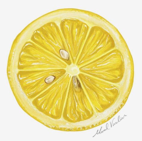 Lemon Drawing, Lemon Clipart, Back To School Wallpaper, Ap Art Ideas, Recipe Book Ideas, Watercolor Food Illustration, Ipad Drawing, Scratch Book, Watercolor Food