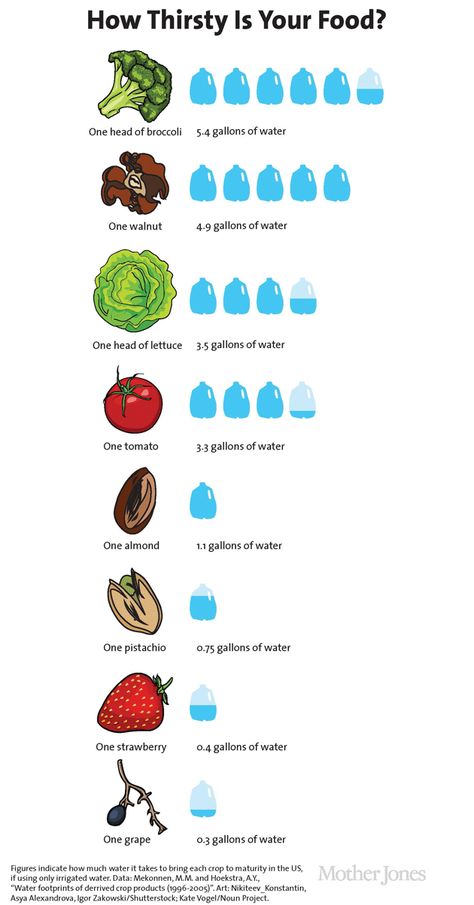 HOW MUCH WATER DOES IT TAKE TO GROW YOUR FOOD?  Water scarcity will be more of an issue in the future.  Students will be able to relate more when they realize their favorite foods are in jeopardy. Hydroponics Diy, Vegetable Garden Planning, Hydroponic Growing, Kids Garden, Aquaponics System, Water Cycle, Home Vegetable Garden, Hydroponic Gardening, Vegetable Garden Design