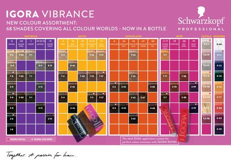 Discover Igora Vibrance Chart with 68 shades covering all colour worlds. Shop the full range at salonsdirect.com Schwarzkopf Hair Color Chart, Igora Vibrance, Schwarzkopf Hair Color, Birth Colors, Hair Relaxers, Perfect Hair Color, Hair Color Formulas, Dry Shampoo Hairstyles, Shampoo For Curly Hair