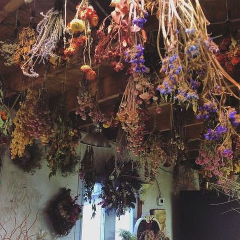 Winter Flowers Garden, Small Herb Gardens, Flowers Hanging, Magia Das Ervas, Witch Cottage, Witch Garden, Cottage In The Woods, Cottage Core Aesthetic, Witch Aesthetic