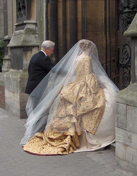 18th Century Wedding Dress, Photography Tattoo, Gold Wedding Dress, Wedding Dresses Corset, A Wedding Dress, Vintage Bride, Gorgeous Gowns, Marie Antoinette, Wedding Tips