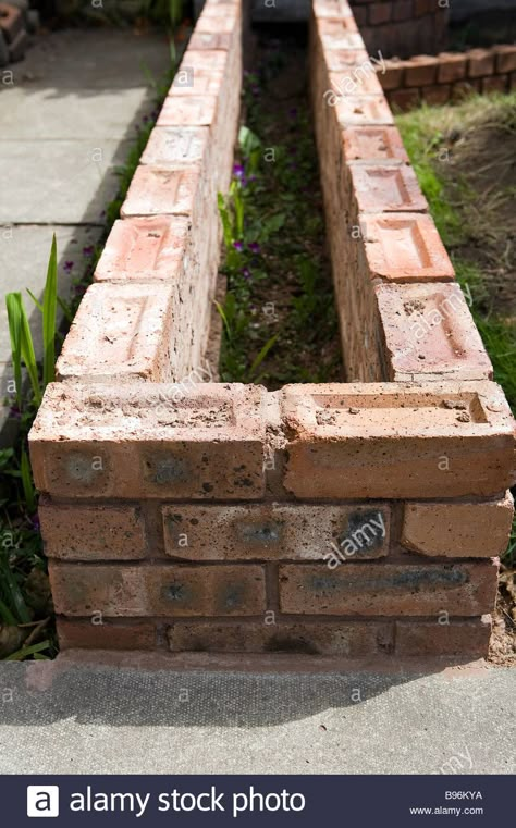 Small brick wall that is to be used as a raised bed in a garden Stock Photo Garden Design Bricks, Low Brick Garden Wall, Brick Wall Around Patio, Brick Wall Flower Beds, Brick Planter Wall, Brick Wall Planters Outdoor, Garden Wall Ideas Brick, Brick Planter Boxes, Brick Planter Ideas