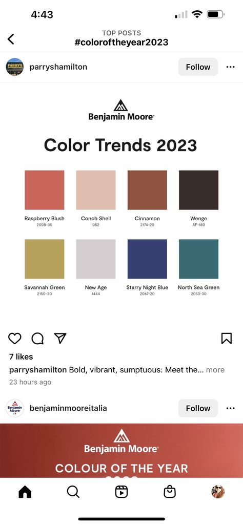 Benjamin Moore Savannah Green, Benjamin Moore North Sea Green, Savannah Green Benjamin Moore, New Age Benjamin Moore, Benjamin Moore New Age, Savannah Green, Benjamin Moore Colors, North Sea, Color Of The Year