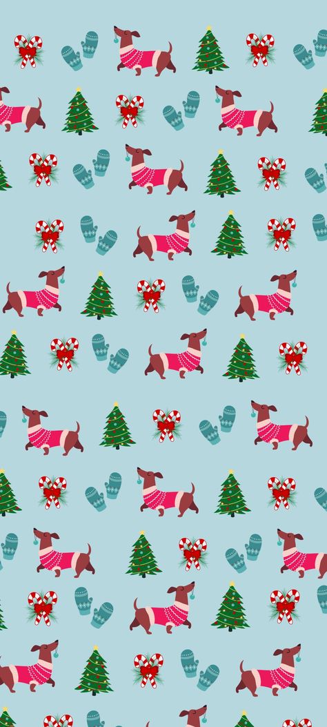 Christmas Weenie Dog Wallpaper, Christmas Dachshund Wallpaper, Christmas Wallpaper Dog, Dog Christmas Wallpaper, Dachshund Aesthetic, Dachshund Wallpaper, Iphone Screensaver, Dog Wallpaper Iphone, Holiday Wallpapers