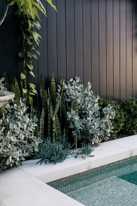 A delicate blending of materials and textures in this image. A modern pool design that sits comfortably alongside textural planting. Pool Garden Design, Pool Fencing Landscaping, Landscape Design Pool, Landscape Design Backyard, Landscaping Pool, Pool Plants, Design Backyard, Outdoor Pool Area, Pool Hacks