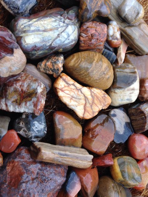 Rock Collecting Aesthetic, Rock Collection Aesthetic, Rocks Aesthetic Nature, Rocks Aesthetic, Rocks Photography, Collecting Rocks, Rock Collecting, Rock Cover, Rock Aesthetic