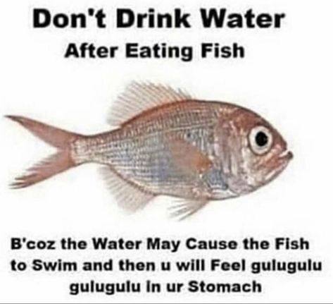 Fish Meme, Eating Fish, Silly Images, The Fish, Really Funny Pictures, Animal Memes, Funny Laugh, Popular Memes, Mood Pics