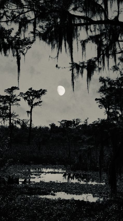 1920s New Orleans, Black Southern Gothic Aesthetic, Gothic Woods, Swamp Goth, Bayou Aesthetic, Dark Swamp Aesthetic, Bayou Aesthetic Dark, Bayou Gothic, Swamp Aesthetic