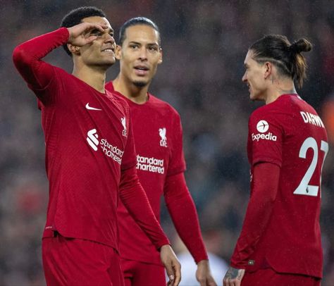 Cody Gakpo, Darwin Nunez, Virgil Van Dijk, Van Dijk, 30th Anniversary, Liverpool Fc, Manchester United, Premier League, Liverpool