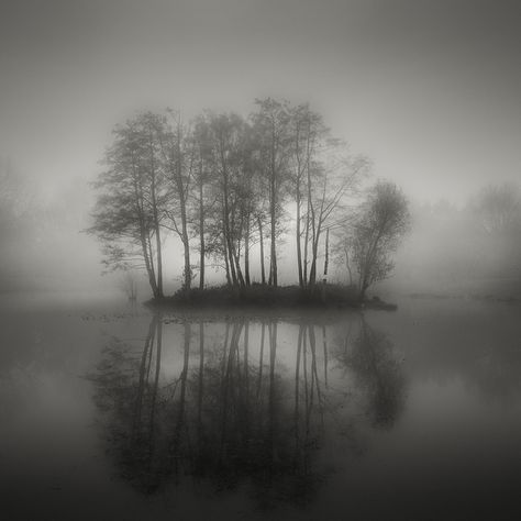 The Ethereal Long Exposure Photography of Darren Moore Long Exposure Landscape, Swimming Photography, Tree Scenery, Long Exposure Photos, Long Exposure Photography, Colossal Art, Black And White Landscape, Exposure Photography, Black N White Images