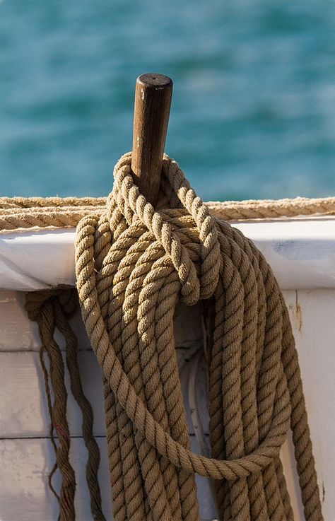 It's a damn good day for the heart and the mind                                                                                                                                                                                 Mehr Boat Rope, Sailing Rope, Navi A Vela, Coastal Life, Tall Ships, Pirate Ship, Wooden Boats, Set Sail, Model Ships