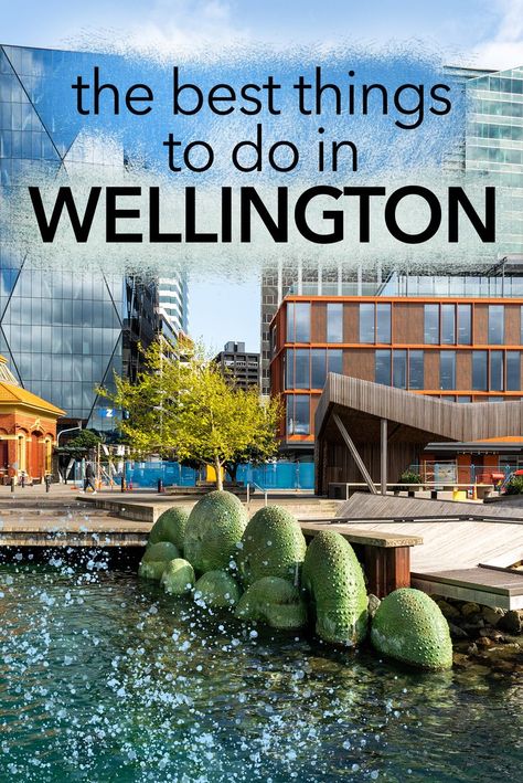 Must See Places In New Zealand, New Zealand Wellington Aesthetic, Things To Do In Wellington New Zealand, The Catlins New Zealand, Things To Do In Queenstown New Zealand, Wellington City, North Island New Zealand, New Zealand Itinerary, Wellington New Zealand