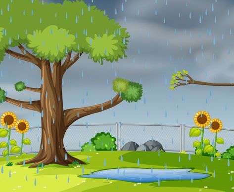 Raining Illustration, Rain Cartoon, Cartoon Garden, Preschool Weather, Easter Floral Arrangement, Wheelbarrow Garden, Autumn Animals, School Images, Cartoon House