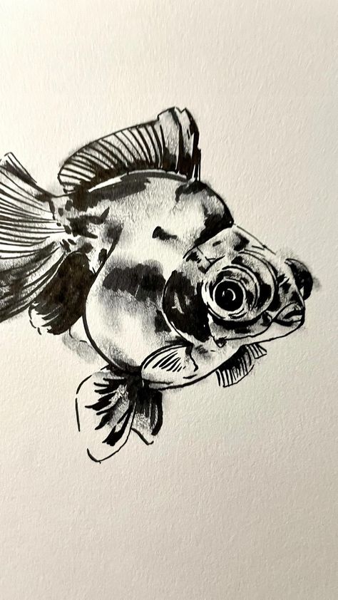 Black Brush Pen Art, Fish Pen Drawing, Brush Pen Art Drawing, Ink Brush Drawing, Brush Pen Drawing, Drawing Fish, Grayscale Art, Fish Sketch, Japanese Pen