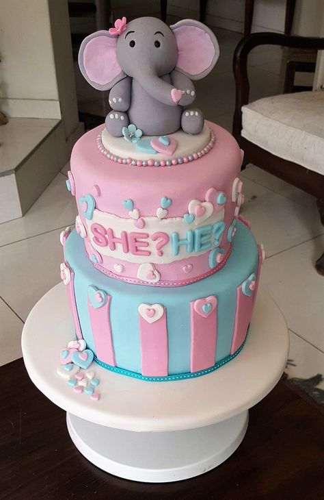 Gender Reveal Ideas Elephant Theme, Elephant Gender Reveal Party Decorations, Elephant Gender Reveal Cake, Elephant Theme Gender Reveal, Elephant Gender Reveal Party, Elephant Gender Reveal, Themed Gender Reveal, Twin Gender Reveal, Baby Gender Reveal Party Decorations