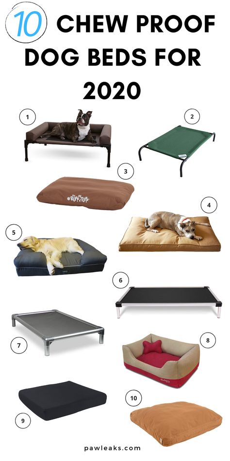 Chew Proof Dog Bed Diy, Indestructible Dog Bed, Best Dog Products, Dog Products Must Have, Dog Bed Ideas, Chew Proof Dog Bed, Dogs Products, Holistic Dog Care, Pet Beds For Dogs