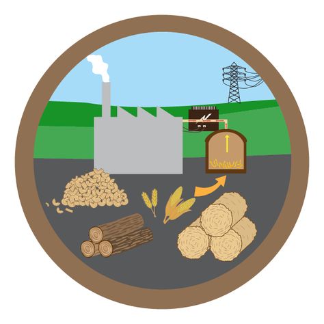 Biomass Power Plant, Anaerobic Digestion, Biomass Energy, Corporate Strategy, Renewable Sources Of Energy, Historical Period, Sustainable Energy, General Electric, Organic Matter