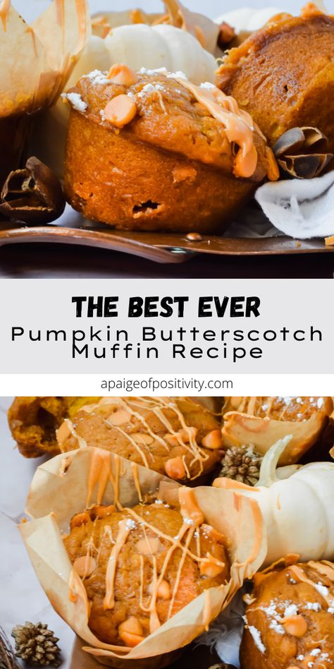 These Butterscotch Pumpkin Muffins are rich and moist, yet still have a fluffy and airy inside. They’re truly bakery style muffins full of fall flavors and sweet butterscotch chips scattered throughout. Butterscotch Chip Muffins, Butterscotch Pumpkin Muffins, Butterscotch Muffins Recipe, Pumpkin Butterscotch Muffins, Scottish Puddings, Butterscotch Muffins, Butterscotch Pumpkin, Butterscotch Recipes, Pumpkin Butterscotch