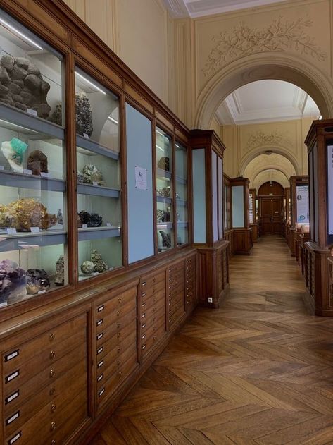 Museum Conservator Aesthetic, Home Museum Display, Museum Archivist Aesthetic, Archeology Museum Architecture, Natural History Museum Aesthetic, Archeology Aesthetic Room, Vintage Museum Aesthetic, Science Museum Aesthetic, Museum Curator Aesthetic