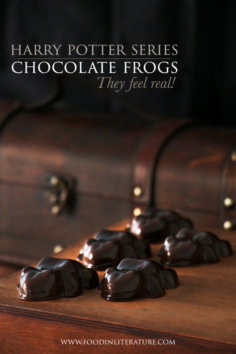 Frog Food, Chocolate Frogs, Cauldron Cake, Hp Sauce, Drink Recipe Book, Harry Potter Food, Festa Harry Potter, Chocolate Frog, Anniversaire Harry Potter