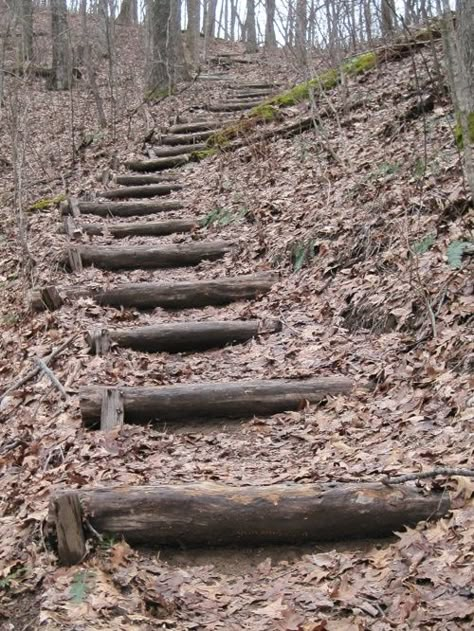 Log Steps Outdoor, How To Make Trails In The Woods, Diy Walking Trail, Trail Stairs, Trail Steps, Trail Building, Landscape Stairs, Hillside Garden, Wooded Landscaping