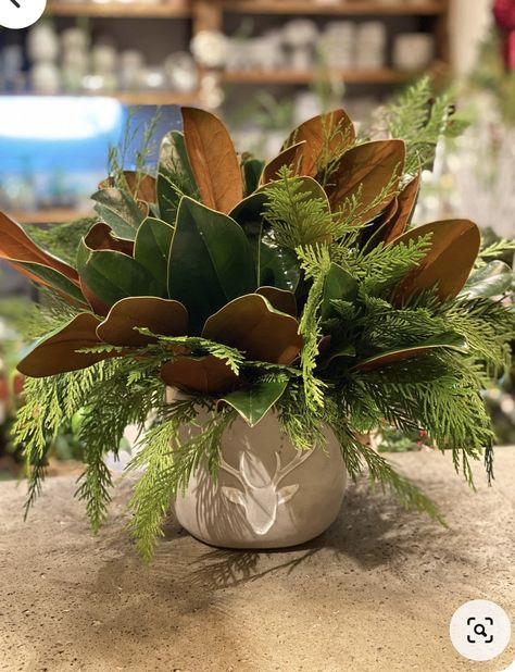 Magnolia Greenery Wedding, Christmas Small Centerpieces, Magnolia Leaf Centerpiece, Magnolia Leaves Centerpiece, Magnolia Leaves Christmas, Christmas Greenery Arrangements, Evergreen Planters, Xmas Centerpieces, Porch Pots