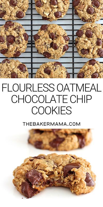 Flourless Oatmeal Cookies, Chewy Oatmeal Chocolate Chip Cookies, Cookies Oatmeal, Oatmeal Chocolate Chip Cookie Recipe, Flourless Cookies, Oatmeal Chocolate Chip, Oatmeal Cookie, Oatmeal Chocolate, Flourless Chocolate