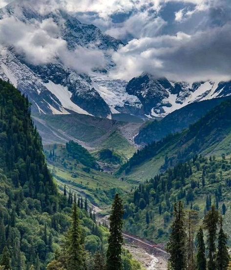 Solange valley manali #himachal #himachalpradesh #india #himalayas #mountains #travel #shimla #manali #nature #himachali #pahadi #himachaltourism #travelphotography #incredibleindia #kullu #uttarakhand #photography #himachaldiaries #travelgram #instahimachal #love #instagram #mandi #kangra #himachalpictures #kinnaur #wanderlust #delhi #chandigarh #instagood Solang Valley Manali, Uttarakhand Photography, Manali India, India Travel Guide, World Most Beautiful Place, Himachal Pradesh, Beautiful Places Nature, Vacation Mode, Two Hearts