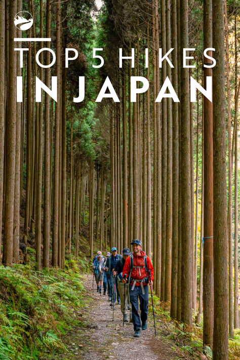 I was blown away when I first experienced the nature that Japan has to offer, and I want you to be too. Read on for our top 5 favorite hiking locations in Japan, then make sure to check out our Japan Walking and Hiking Tour, where we hike these trails and many more. Japan Hiking, Antarctica Activities, Hiking Locations, Spain Tour, Japan Beautiful, Tours France, Experience Life, Earth From Space, Cabin Fever