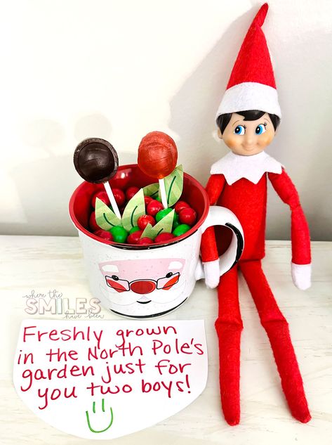 Easy Elf on the Shelf Idea: North Pole Candy Garden! Elf On The Shelf Poinsettia, Elf North Pole Breakfast, Candy Garden, Elf Garden, Silent House, North Pole Breakfast, Elf On The Shelf Idea, Farmhouse Gallery Wall, Easy Elf On The Shelf