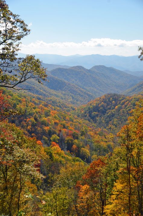 Fall in the Great Smoky Mountains of Bryson City, North Carolina Bryson City North Carolina, Fontana Lake, Bryson City Nc, Distant Mountains, Nc Mountains, Bryson City, North Carolina Mountains, Cades Cove, Mountain Vacations