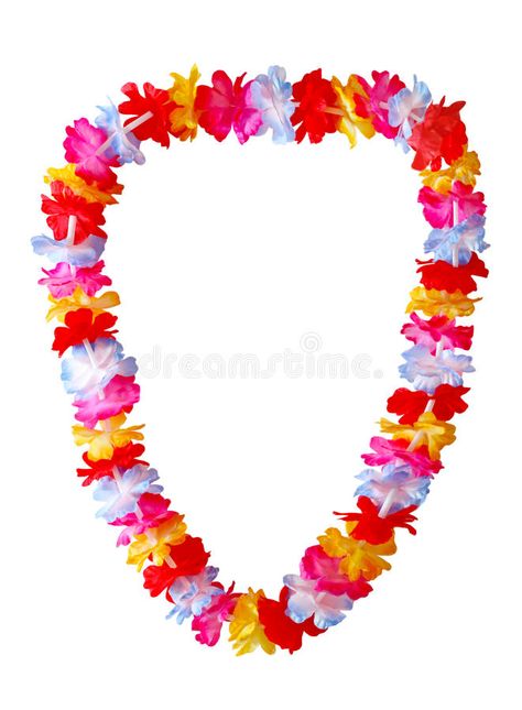 Hawaiian lei. Necklace isolated on white background , #Aff, #Necklace, #lei, #Hawaiian, #background, #white #ad Hawaiian Background, Hawaiian Lei, Background White, Lei Necklace, Lei, White Background, Hawaii, Jewelry Accessories, Stock Images