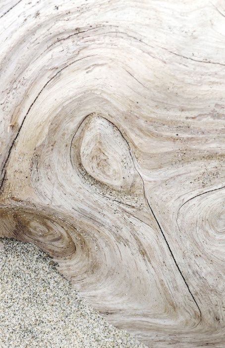 wood Stunning Scenery, Texture Inspiration, Materials And Textures, Neutral Palette, Architectural Inspiration, Surface Textures, Wood Texture, 50 Shades, White Sand