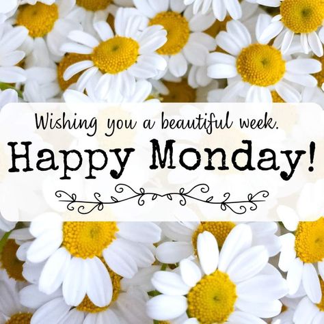 Happy Maandag, Happy Monday Images, Good Morning Wishes Friends, Monday Greetings, Good Morning Monday Images, Happy Good Morning Images, Monday Images, Monday Morning Quotes, Good Morning Monday