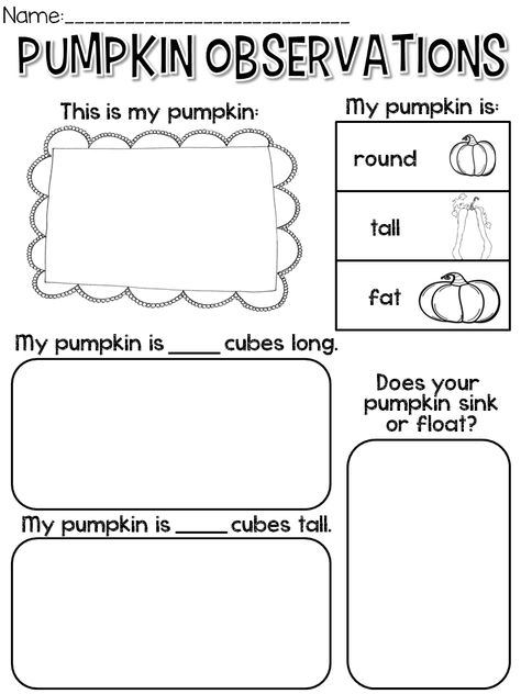 October Printables - Rowdy in Room 300 Pumpkin Observation Worksheet, Free Pumpkin Investigation Printable, Steam Pumpkin Activities, Pumpkin Observation, Pumpkin Kindergarten, October Printables, Mental Day, Kindergarten Pumpkin, October Kindergarten