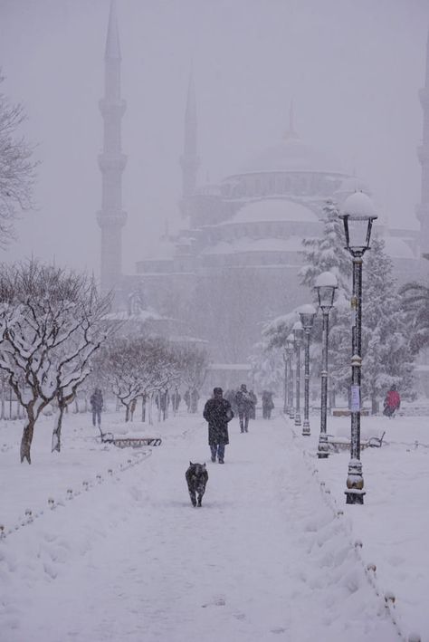 Blue Mosque Istanbul, Istanbul Turkey Photography, Istanbul Photography, Istanbul City, Turkey Photos, Turkish Culture, Blue Mosque, Turkey Istanbul, Winter Photos