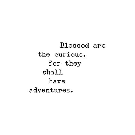 “Blessed are the curious, for they shall have adventures.” – Lovelle Drachman #quoteoftheday Curious Quotes, Blessed Are The Curious, Boy Quotes, Adventure Quotes, The Little Mermaid, Quote Of The Day, Mermaid, Quotes, Instagram